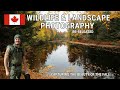 AUTUMN WILDLIFE &amp; LANDSCAPE PHOTOGRAPHY | Canadian FALL | Canon R3 &amp; 5DSR Cottage Country, Ontario