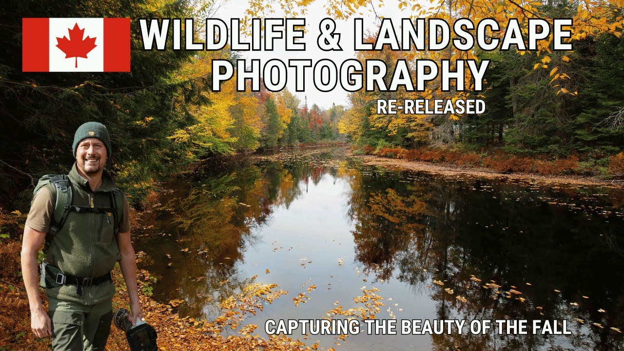 AUTUMN WILDLIFE & LANDSCAPE PHOTOGRAPHY | Canadian FALL | Canon R3 & 5DSR Cottage Country, Ontario