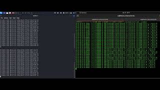 Mastering Network Security: Installing SNORT and Detecting ICMP Attacks Wealth