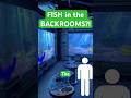 There’s fish in the Backrooms? And they do what? #backrooms #spooky #walterwhite