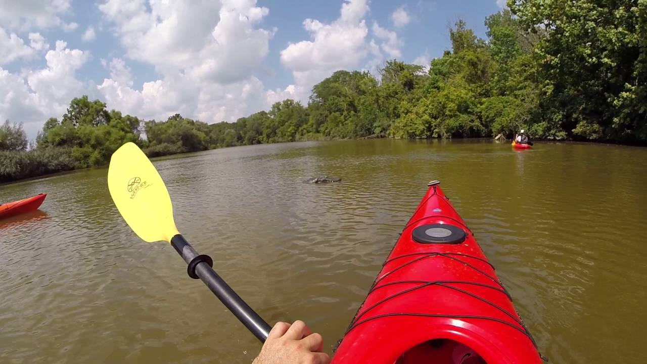 Huron River Kayaking Trip YouTube