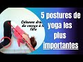 5 postures de yoga  faire  tous les jours