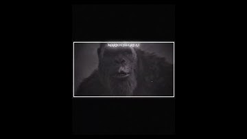 GXK edit #capcut #godzilla #edit #monsterverse #shorts #viralvideo #kong #fyp #godzillacharacter