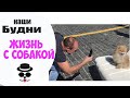 Шпиц Гетсби на Красной Площади | Жизнь с Собакой