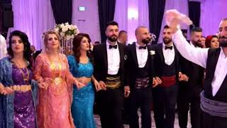 Halay grubunun muhteşem gösterisi  #halay #halaybasi #şefo #kurdish #kurtce #düğün #gelin #batman