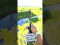 travel rod praktis ultralight tapi teleskopik #joran #alatpancing #ultralightfishing