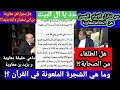 سر تنازل الإمام الحسن عن الخلافةلمعاويةبن ابى سفيان ومن خال المؤمنين المقتول مع دكتور محمدعيسى داود