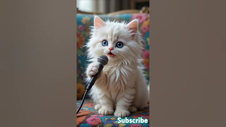 Video 9045011: cute white persian kitten, cat kitten cute