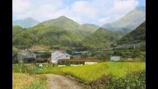 충북 단양 소백산 가는길 한드미마을 자연향펜션 가을풍경