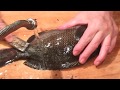 《メジナ(長崎ではクロ)の刺身》・・・・大和の 和の料理《刺身》