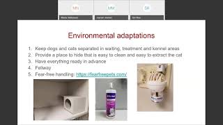 Keeping Cats Comfortable Anesthetic and Perioperative Analgesic Considerations in the Feline Patient