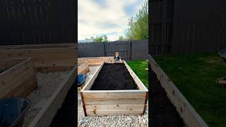 Filling our Planter Boxes ?