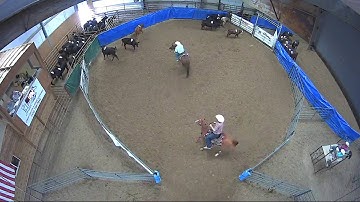 Big Sky Ranch Sorting Saddle Series #5 - #9 - Round #1 - Ride #19