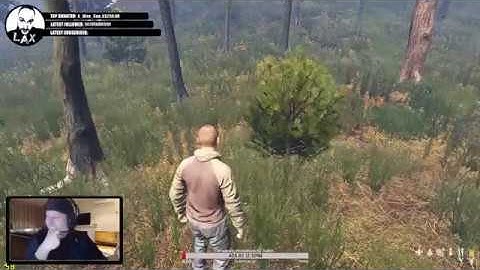 LAXHAWTHORN - DayZ - Don