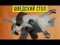 Приколы с котами. Шведский стол)) | Мемозг #415