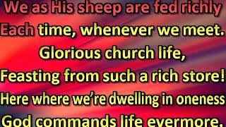Jesus, our wonderful Shepherd
