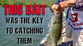 Ledge Fishing 101 at Lake Guntersville