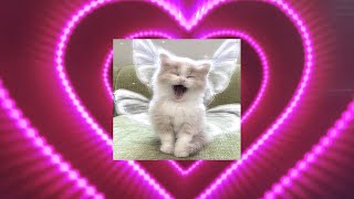 ☆a sped up/speed songs playlist for hot ppl pt. 200☆