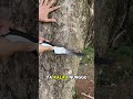 Gergaji portable yang bisa di lipat dan di bawa kemana mana cocok buat di rumah