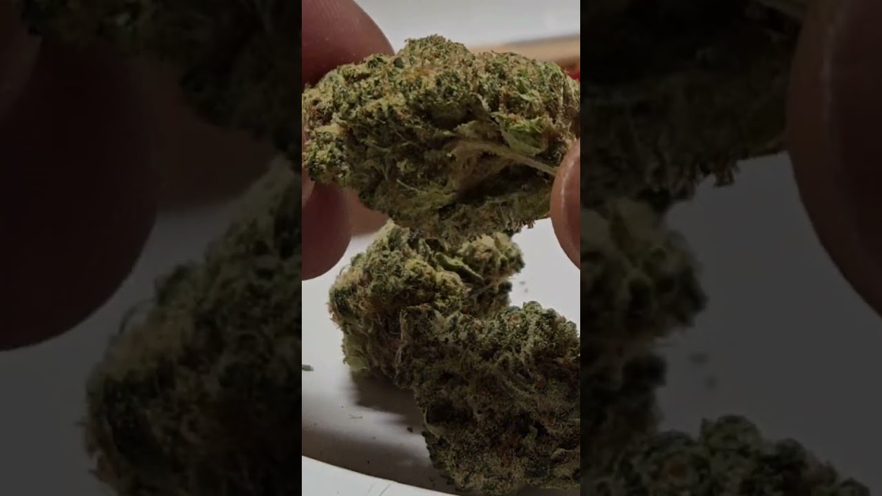 Bud Talk Episode Twenty Five: Jupiter from Rythm