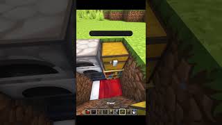 Minecraft Smallest House