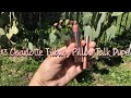 Charlotte Tilbury Pillow Talk Dupe!! Lip swatches and comparisons