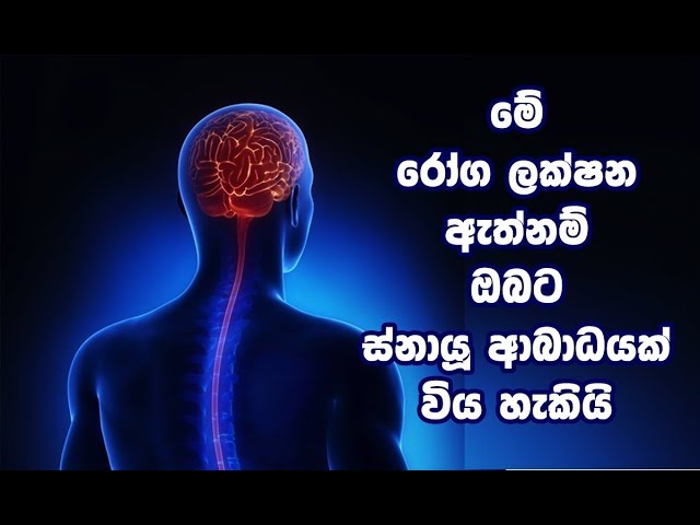 මේ රෝග ලක්ෂන ඇත්නම් ඔබට ස්නායූ ආබාධයක් විය හැකියි Nervous system problems symptoms Sinhala class=