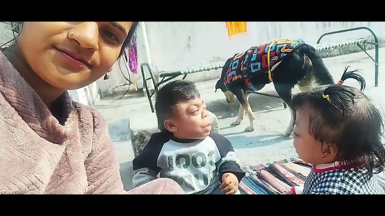 मंकू बेदू आसमान में पतंग देख रहे है....... 