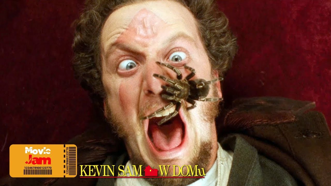 Kevin sam w domu (1990) | Pająk