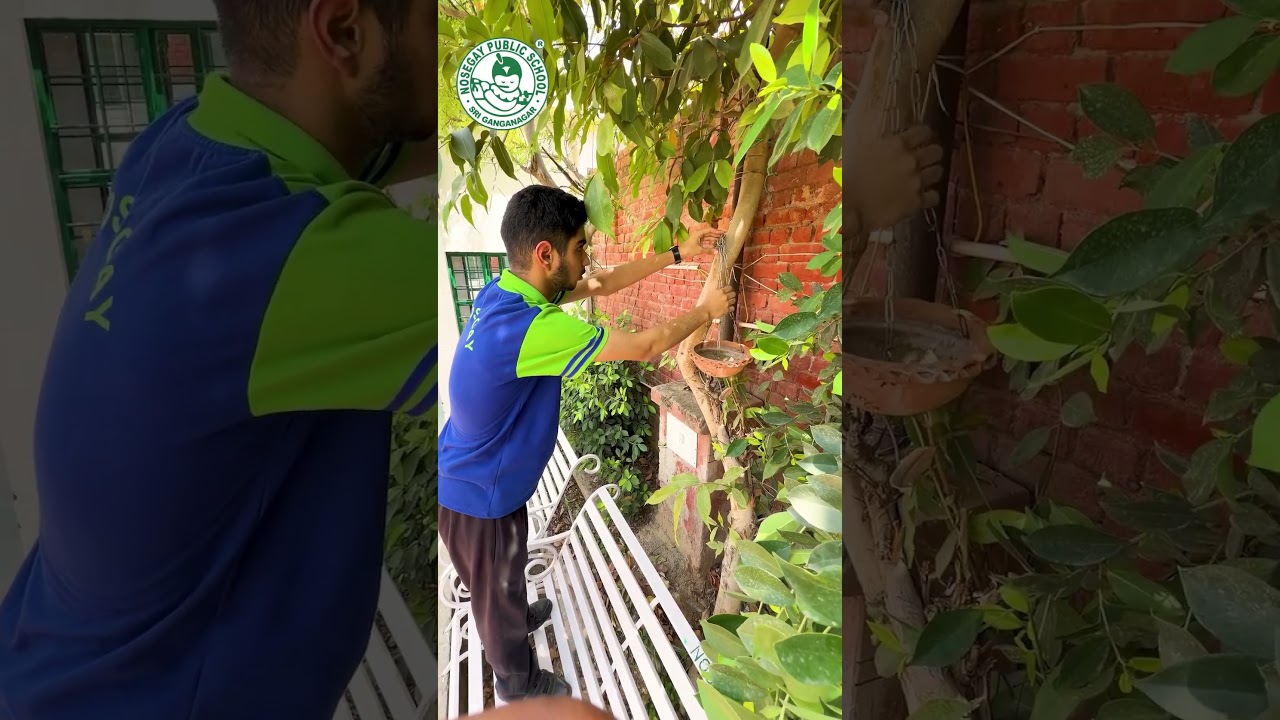 Clean Environment, Healthy Life