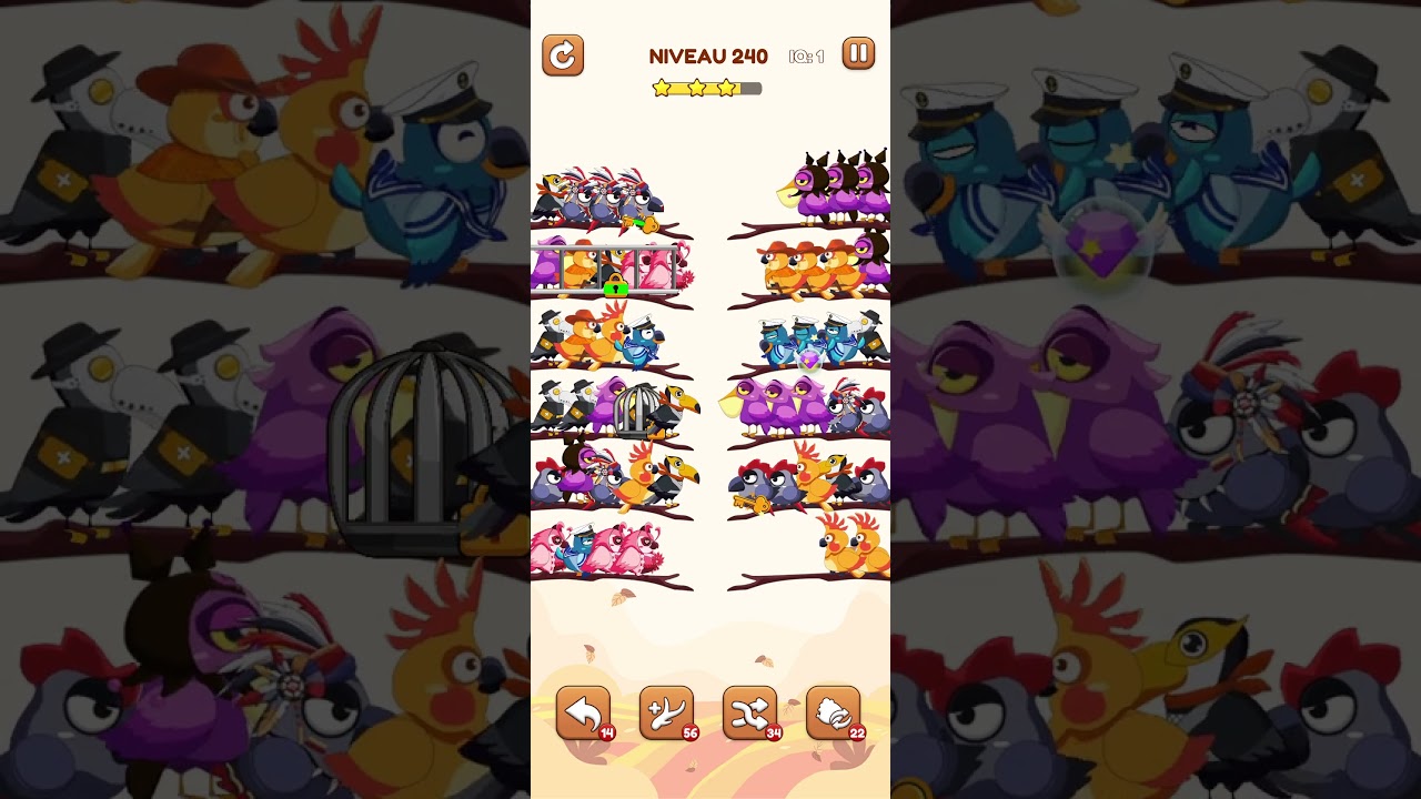 bird sort 2 color puzzle solution niveau 240 