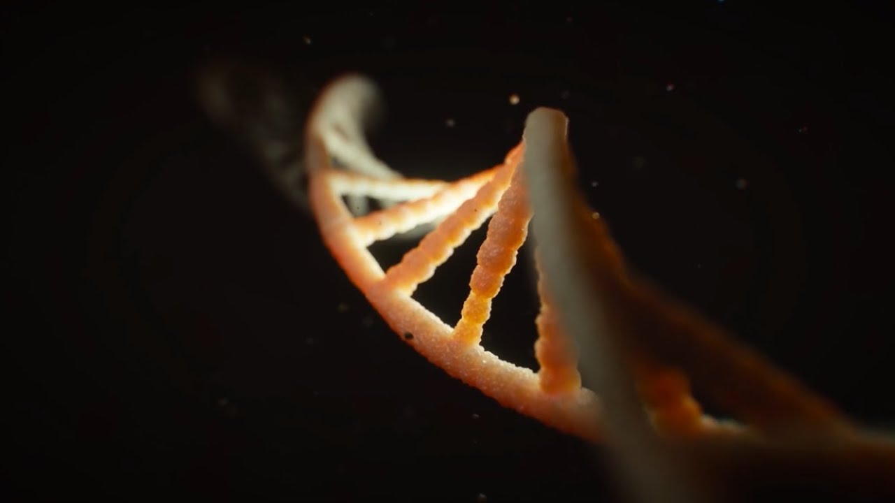 ⁣The Last Days: Part II Genetic Origins (2)