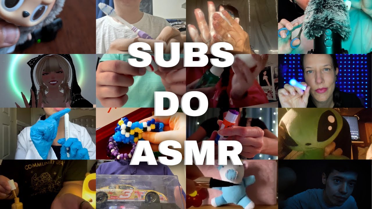 MY SUBSCRIBERS DO ASMR ROLEPLAYS! 😴