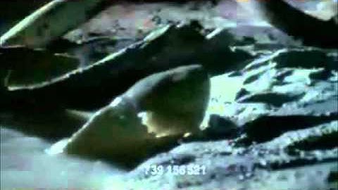 Promotion Film - 5 Steps to Customer Centricity