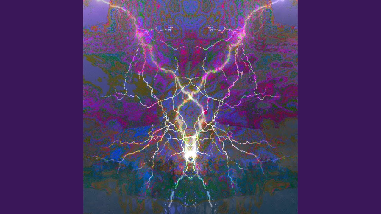 Flowers Die Over Time YouTube