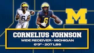 Cornelius Johnson - NFL Prospects in Less Than Three Minutes