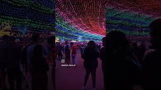 Austin Trail of Lights  #Austin #lightsfestival #trailoflights #texas #christmas #zikerpark