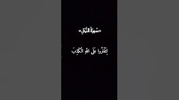 #قران_كريم #شاشه_سوداء #سورة_النحل #ماهر_المعيقلي