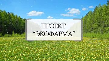 Вероника лекарственная, вероника дубравная. Сбор и применение