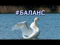 Баланс - стихи для души