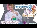 Experimento Biología / Química con la Enzima Catalasa. Generación de Oxígeno.