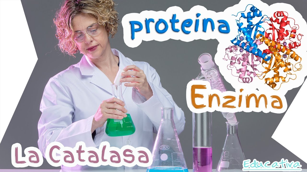 Experimento Biología / Química con la Enzima Catalasa. Generación de Oxígeno.