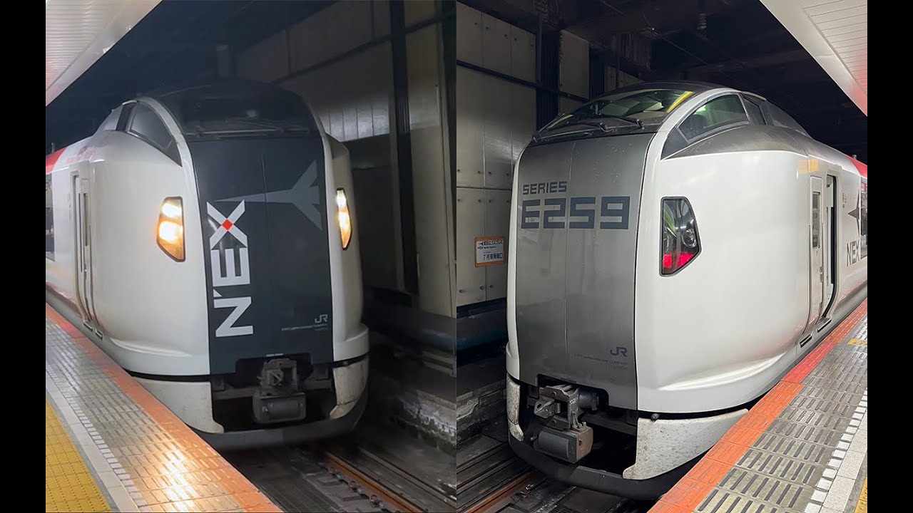 成田エクスプレス】新・旧塗装のE259系 東京駅で併結 - YouTube