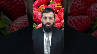 איך בודקים תותים מתולעים? הרב אושרי אזולאי