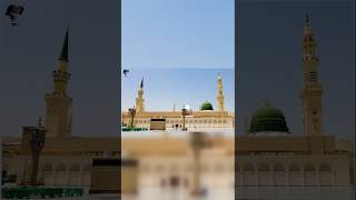 KHILAFAT ¦¦ SHIA SUNNI ¦¦ viral #history #islam