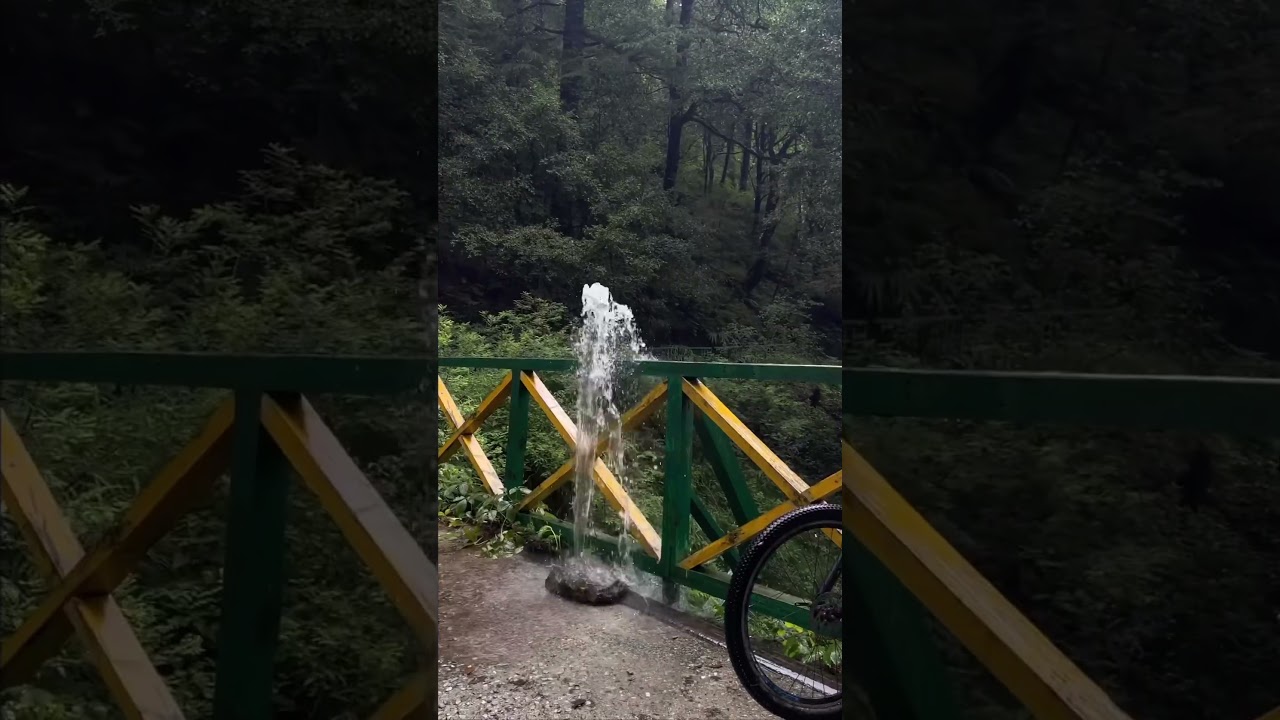 Cycling in Shimla Wildlife | Rainy Forest In Shimla ☺️ 