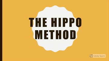 CI 149 - Aaron Mejia - Hippo Document Analysis