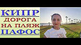 Орхидеи,узамба́рские фиалки,Самара🌺