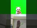 reaction lagi nih