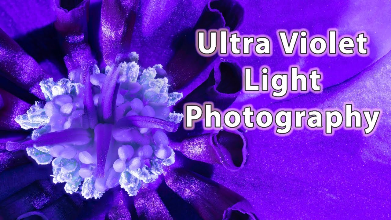 Photography with UV Light 4K YouTube